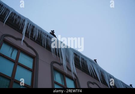 Grandi ghiaccioli di ghiaccio pendono sul tetto della casa. Foto di alta qualità Foto Stock