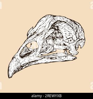 illustrazione vettoriale testa del cranio di pollo Illustrazione Vettoriale