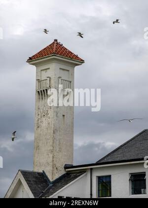 Ayr, Scozia, Regno Unito. 29 luglio 2023: Greggi di gabbiani che volano intorno all'Ayr Pavilion in cerca di cibo. Foto Stock