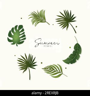 Collezione di foglie tropicali con foglia di banana foglia di monstera e foglia di palma Illustrazione Vettoriale