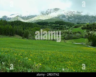 Paesaggio rurale con campi e alberi di fronte al massiccio Dévoluy nelle Hautes-Alpes in Francia. Foto Stock