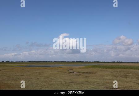 Vista generale ad ampio angolo della palude costiera nel Regno Unito con la bassa marea durante una giornata di sole con le nuvole in un cielo blu. Foto Stock