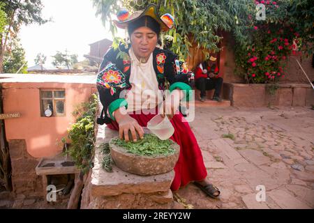 Llachon, Perù; 1 gennaio 2023: Donna che prepara shampoo vegetale biologico naturale nella regione di Llachon sul lago Titicaca in Perù. Foto Stock