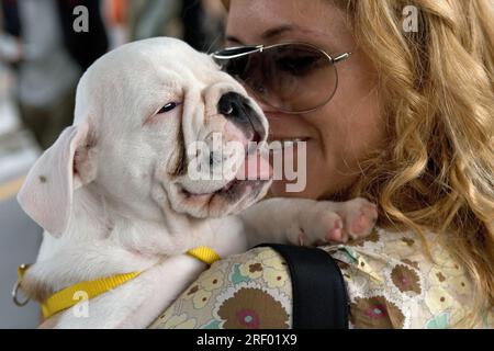 Una donna sorridente mentre tiene in mano un cucciolo di bulldog inglese con un guinzaglio giallo. Foto Stock