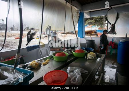 Lima, Perù; 1 gennaio 2023: Donna che pulisce il pesce nel porto di Chorios nella città di Lima in Perù. Foto Stock