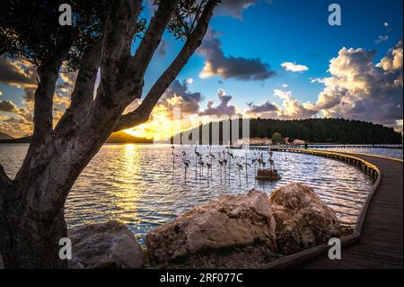 Zona di Zvernec e monastero su un'isola nella laguna di Narta vicino a Valona, ALBANIA Foto Stock