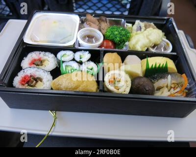 Un Bento Box giapponese ripieno di sushi, riso, sottaceti, manzo e verdure in un comodo vassoio; su un vassoio mentre viaggiate sul treno proiettile. Foto Stock