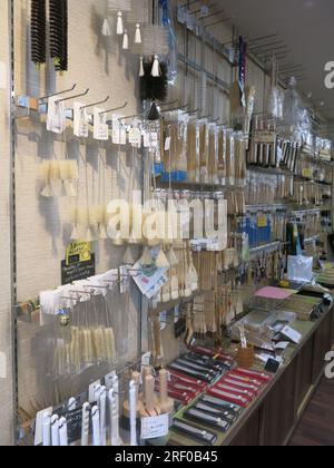 Kappabshi o "Kitchen Street" di Tokyo ha ogni negozio specializzato di pentole immaginabile per il settore dei ristoranti, compreso un negozio solo per i pennelli. Foto Stock