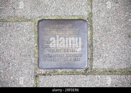 Amburgo, Germania. Targa di ottone (Stolperstein) a ragazza ebrea assassinata dai nazisti nel 1943 al Sanatorio di Eichberg per bambini malati di mente o disabili Foto Stock