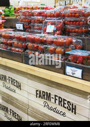 Pomodori confezionati in vendita al supermercato Foto Stock