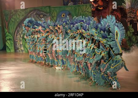 Parintins, Brasile - 06 dicembre 2015: Ballerine di carnevale brasiliane di samba. Foto Stock