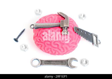 Modello di cervello umano rosa accompagnato da utensili manuali miniaturizzati come un martello, una sega, chiavi e dispositivi di fissaggio isolati su bianco. Auto-miglioramento creativo e. Foto Stock