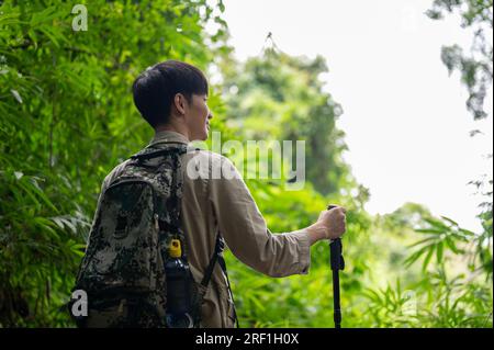 Vista posteriore di un giovane escursionista asiatico attivo e felice con uno zaino da solo nella foresta. Foto Stock