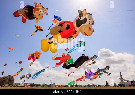 Una collezione di centinaia di incredibili aquiloni 3D ha abbellito lo skyline di Southsea nell'Hampshire questa mattina, come parte dell'annuale Portsmouth International Kite Festival. Gli aquiloni raffigurati includevano disegni di animali, dai gatti alle mucche e creature marine, molti dei quali erano più grandi di un'auto. Foto Stock