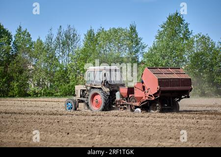 Piantare patate utilizzando una piantatrice agganciata al trattore gommato. Foto Stock