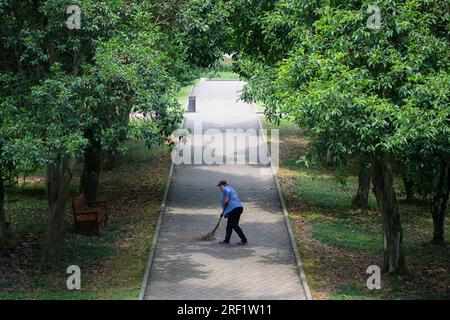 La cameriera donna percorre il sentiero nel parco. Foto Stock