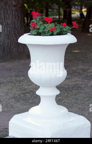 Grande vaso bianco scolpito interamente in pietra con fiori in crescita, situato sulla strada nel parco. Concentrati sul vaso Foto Stock
