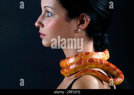 Donna con Red Rat Snake, Corn (Elaphe guttata) Snake Foto Stock