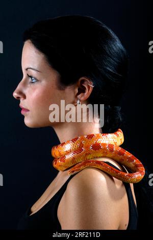 Donna con Red Rat Snake, Corn (Elaphe guttata) Snake Foto Stock