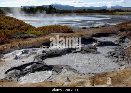 Valle dei geyser, Caldera di Uzon, riserva della biosfera di Kronotsky, penisola di Kamchatka, cratere vulcanico, Kamchatka, Russia Foto Stock