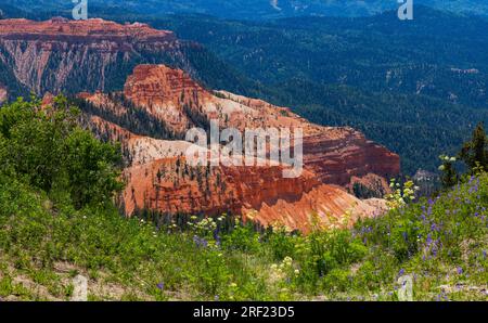 Questa è una vista di una parte delle scogliere di roccia rossa nell'anfiteatro del Cedar Breaks National Monument a est di Cedar City, Iron County, Utah, Stati Uniti. Foto Stock