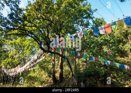 Data: 14 ottobre 2022. Dehradun, Uttarakhand, India. Le bandiere di preghiera tibetane adornano i sentieri e le vette dell'Himalaya. Benedizioni in tessuto colorato e rettangolare. Foto Stock