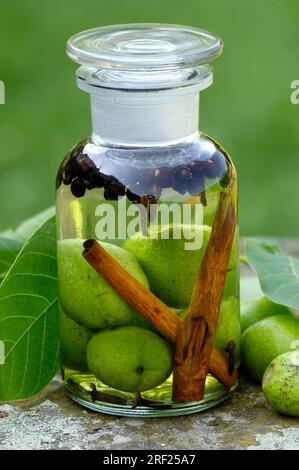 Amari a base di noci, cannella, chiodi di garofano, bacche di ginepro e brandy (Juglans regia) Foto Stock