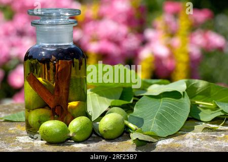 Amari a base di noci, cannella, chiodi di garofano, bacche di ginepro e brandy (Juglans regia) Foto Stock