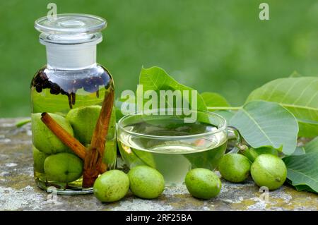 Amari a base di noci, cannella, chiodi di garofano, bacche di ginepro e brandy, tazza di tè alle noci (Juglans regia), tè alle noci Foto Stock