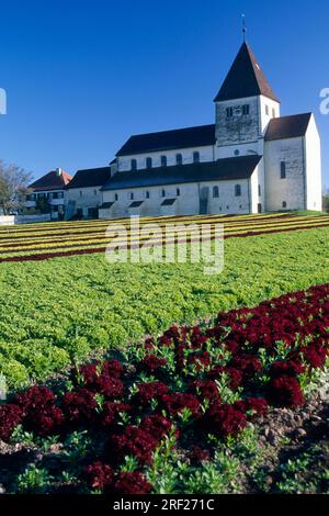 Chiesa di S.. George, Isola di Reichenau, Lago di Costanza, Baden-Wuerttemberg, Germania Foto Stock