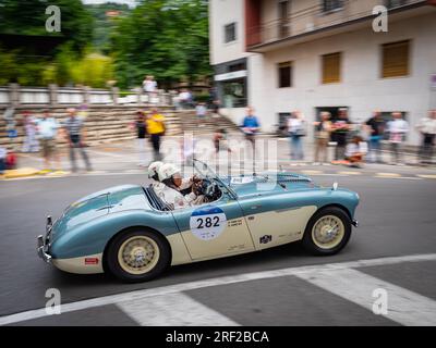 1955 AUSTIN HEALEY 100/4, mille miglia 2023 partenza da Brescia Foto Stock