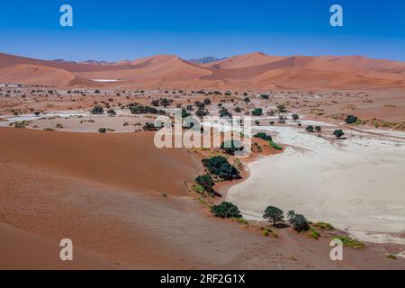 Vista dalla Big Mama Dune sopra Sossusvlei Pan a Deadvlei, Namib Naukluft Park, Namibia Foto Stock