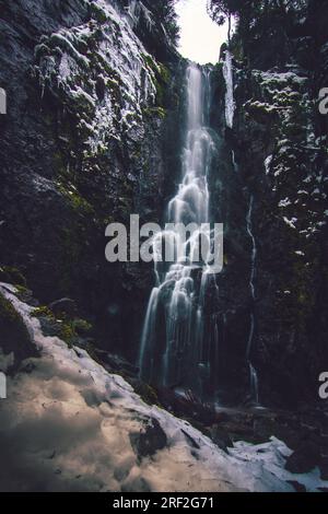 La splendida cascata Burgbach nella Foresta Nera in Germania. Questa cascata cade in una bianca valle di neve Foto Stock