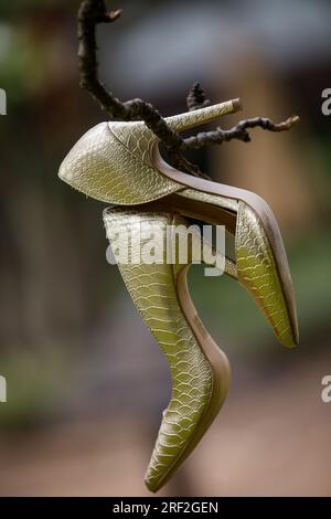 Matrimonio nuziale con splendide scarpe Foto Stock