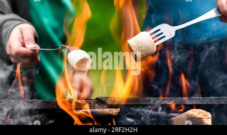 Cucinare con un Fire Pit. Gruppo di amici che tostano marshmallow intorno a un falò nella natura. Gelatina sulla forchetta Foto Stock