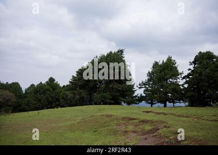 Escursioni nella foresta di Ngong Hills, area ricreativa per picnic, stazione di energia eolica, paesaggi keniani, tramonto, alba, grande Rift Valley, Kajiado Coun Foto Stock