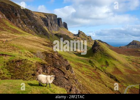 The Quiraing and Cleat da Bioda Buidhe, Trotternish, Isola di Skye Foto Stock