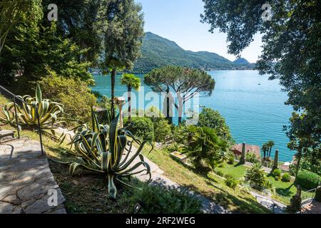 Il bellissimo Parco Scherrer a Morcote, ricco di squisita flora subtropicale sul lungolago del Lago di Lugano, Svizzera Foto Stock
