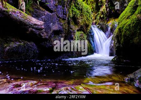 Foto con otturatore lento che cattura il movimento di una piccola cascata a Dollar Glen con rocce e felce ricoperte di muschio Foto Stock