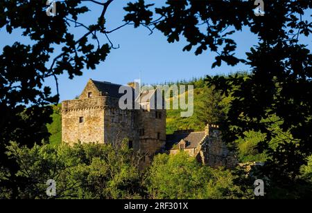 Una vista del Castello Campbell circondato dal fogliame di Glen Dollar, Scozia Foto Stock