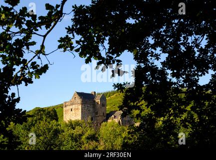 Una vista del Castello Campbell circondato dal fogliame di Glen Dollar, Scozia Foto Stock