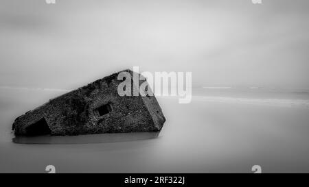 La scatola di pillole della seconda guerra mondiale che scompare sulla costa di Moray, Roseisle, Scozia. Bianco e nero Foto Stock