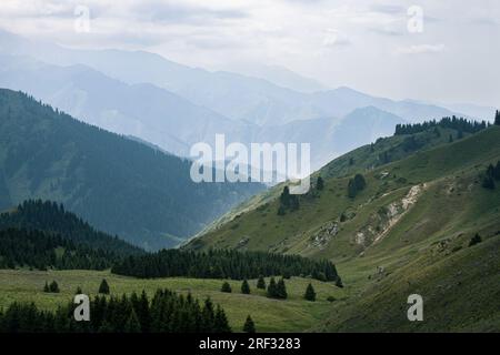 Bellissima valle tra verdi colline con montagne mistiche sullo sfondo Foto Stock