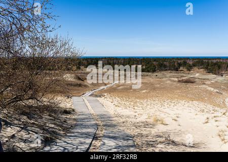 Sentiero in legno sulle Dune morte, o Dune grigie, Curonian Spit, Neringa, Lituania. Foto Stock