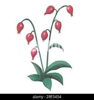 Illustrazione ad acquerello di un fiore rosa in stile medievale. Realizzato a mano isolato su sfondo bianco Foto Stock