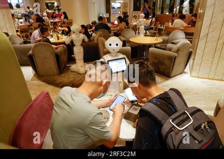 PEPPER LOUNGE, UN'ESPERIENZA UNICA AL CAFE' NEL CUORE DI TOKYO Foto Stock