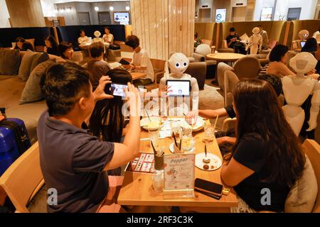 PEPPER LOUNGE, UN'ESPERIENZA UNICA AL CAFE' NEL CUORE DI TOKYO Foto Stock