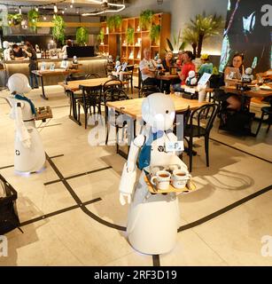 DAWN AVATAR ROBOT CAFE TOKYO Foto Stock