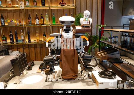 DAWN AVATAR ROBOT CAFE TOKYO Foto Stock