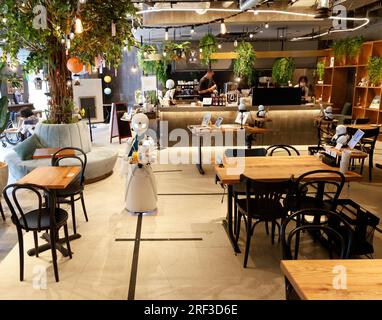 DAWN AVATAR ROBOT CAFE TOKYO Foto Stock